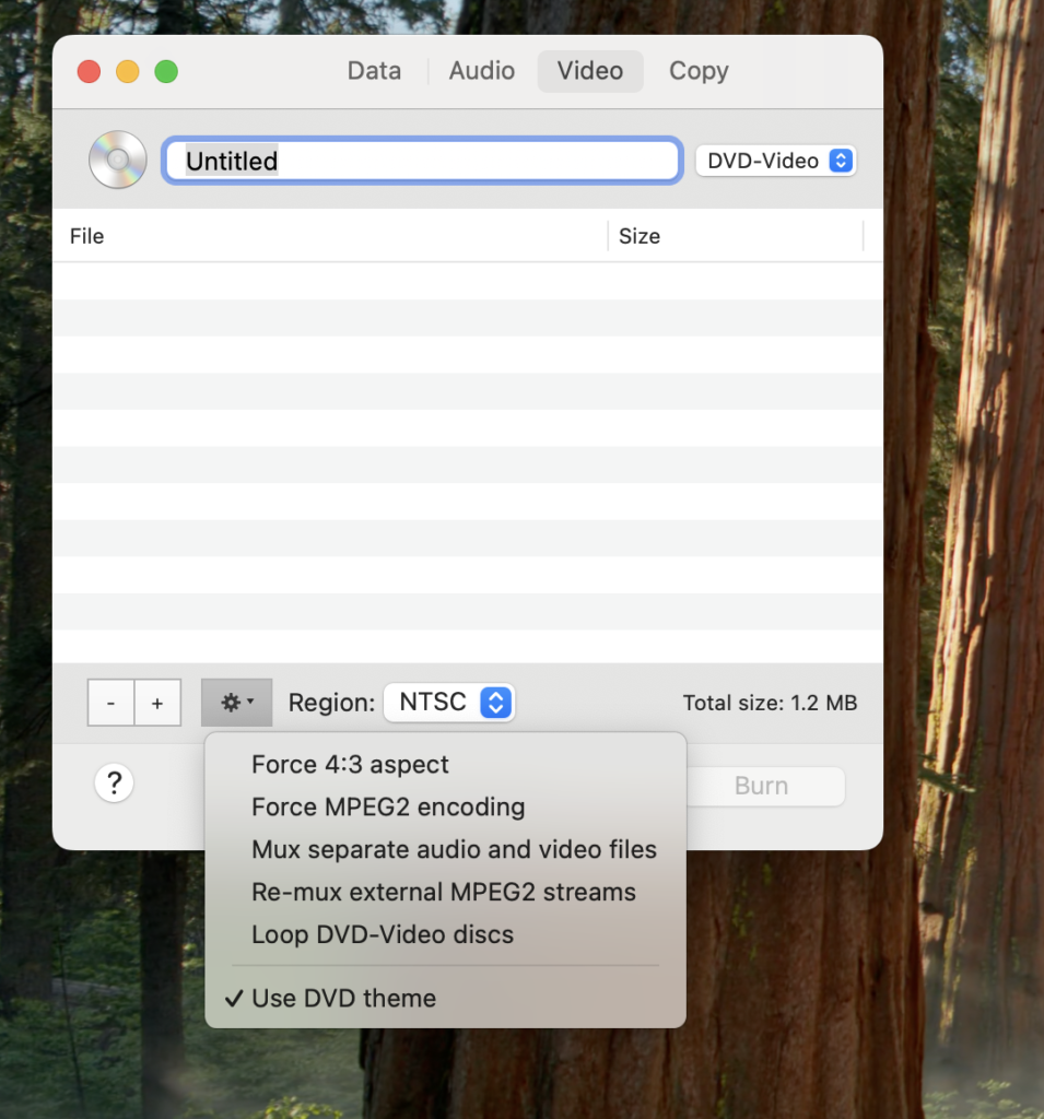 BurnでUse DVD themeのチェックを外してメニューなしDVDを設定する画面